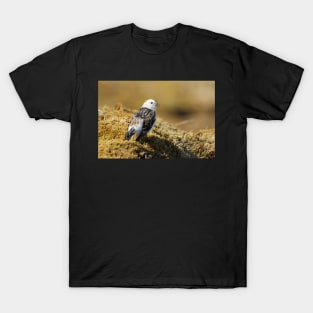 Snow bunting T-Shirt